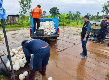 ติดตามการดำเนินธุรกิจรวบรวมผลผลิต (ยางพาราก้อนถ้วย) ... พารามิเตอร์รูปภาพ 7